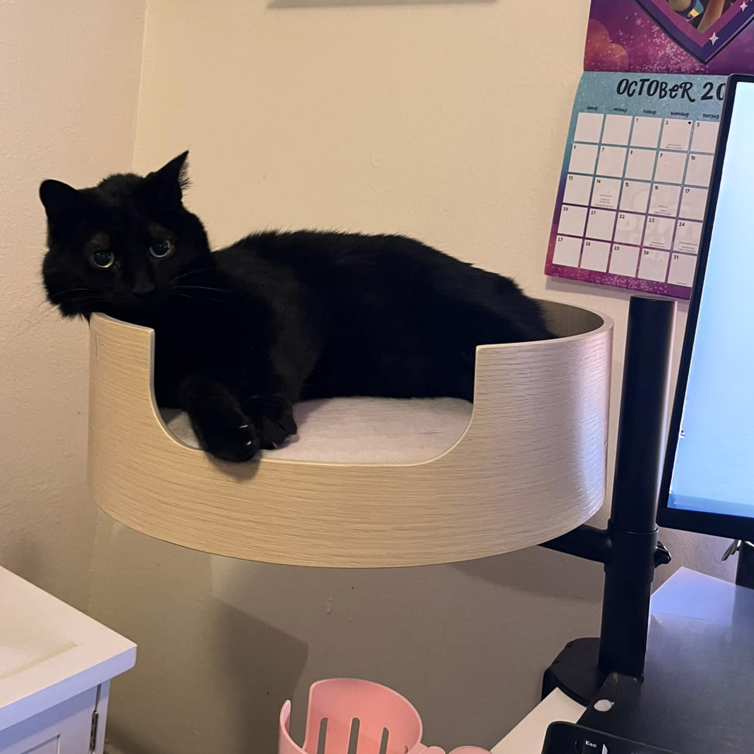 Black cat lounging in white oak Desk Nest desk-mounted cat bed with light cushion