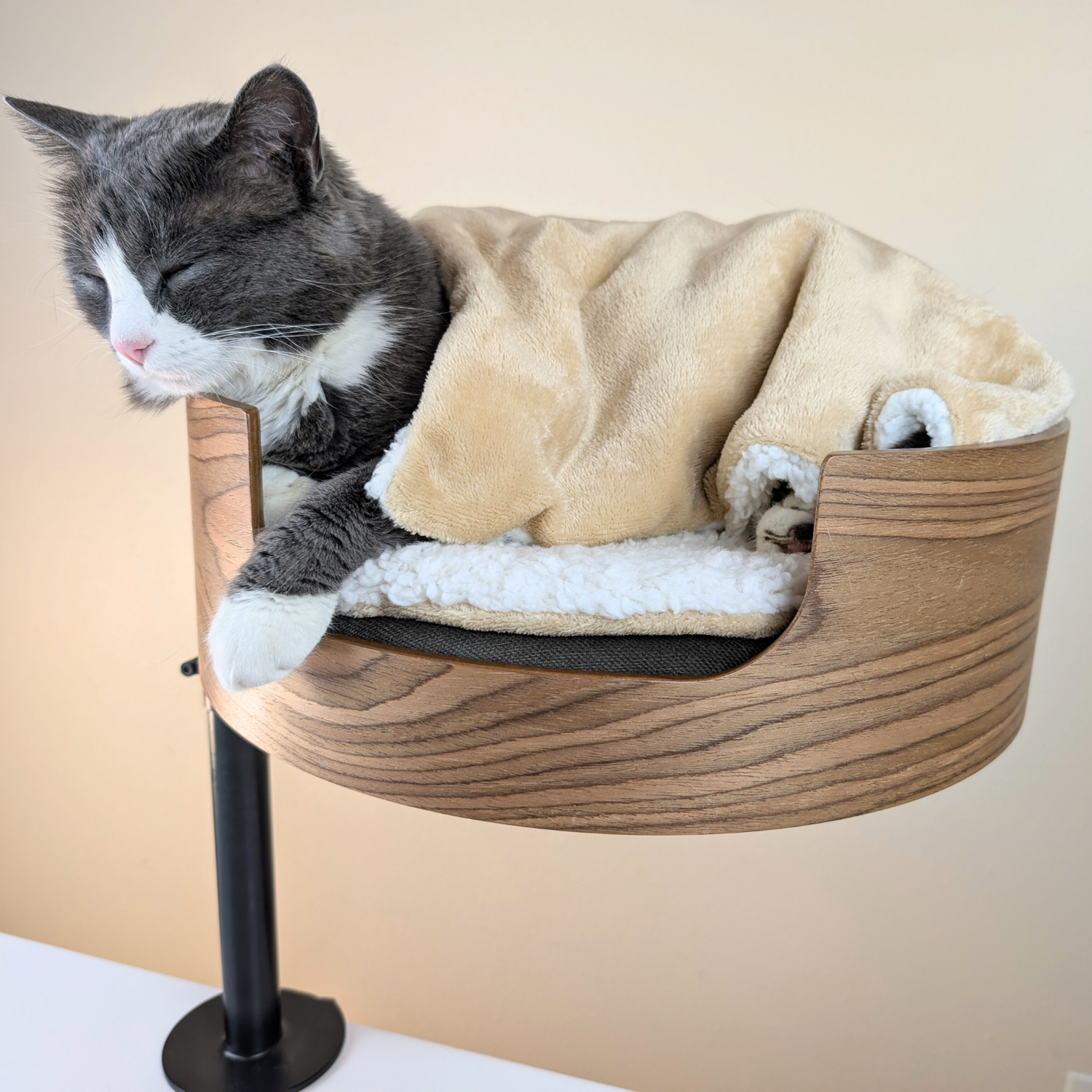 Blanket (PRE-ORDER)