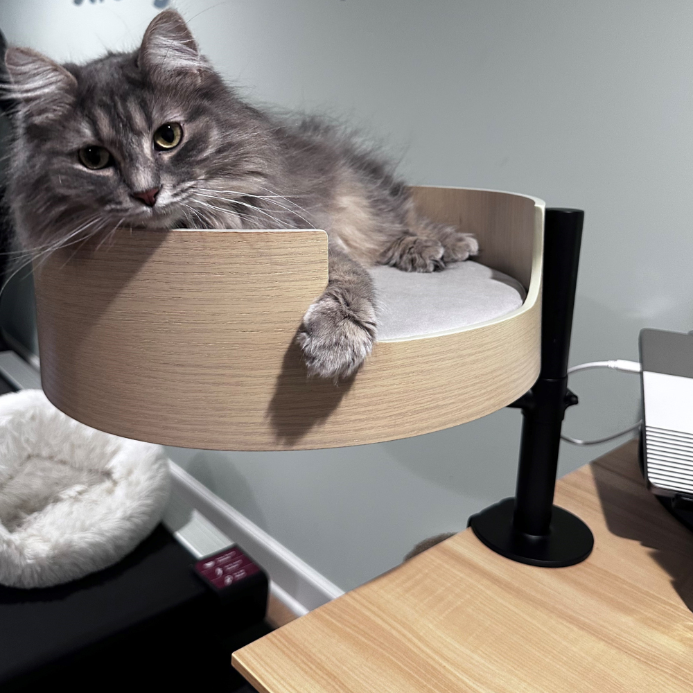 Desk Nest