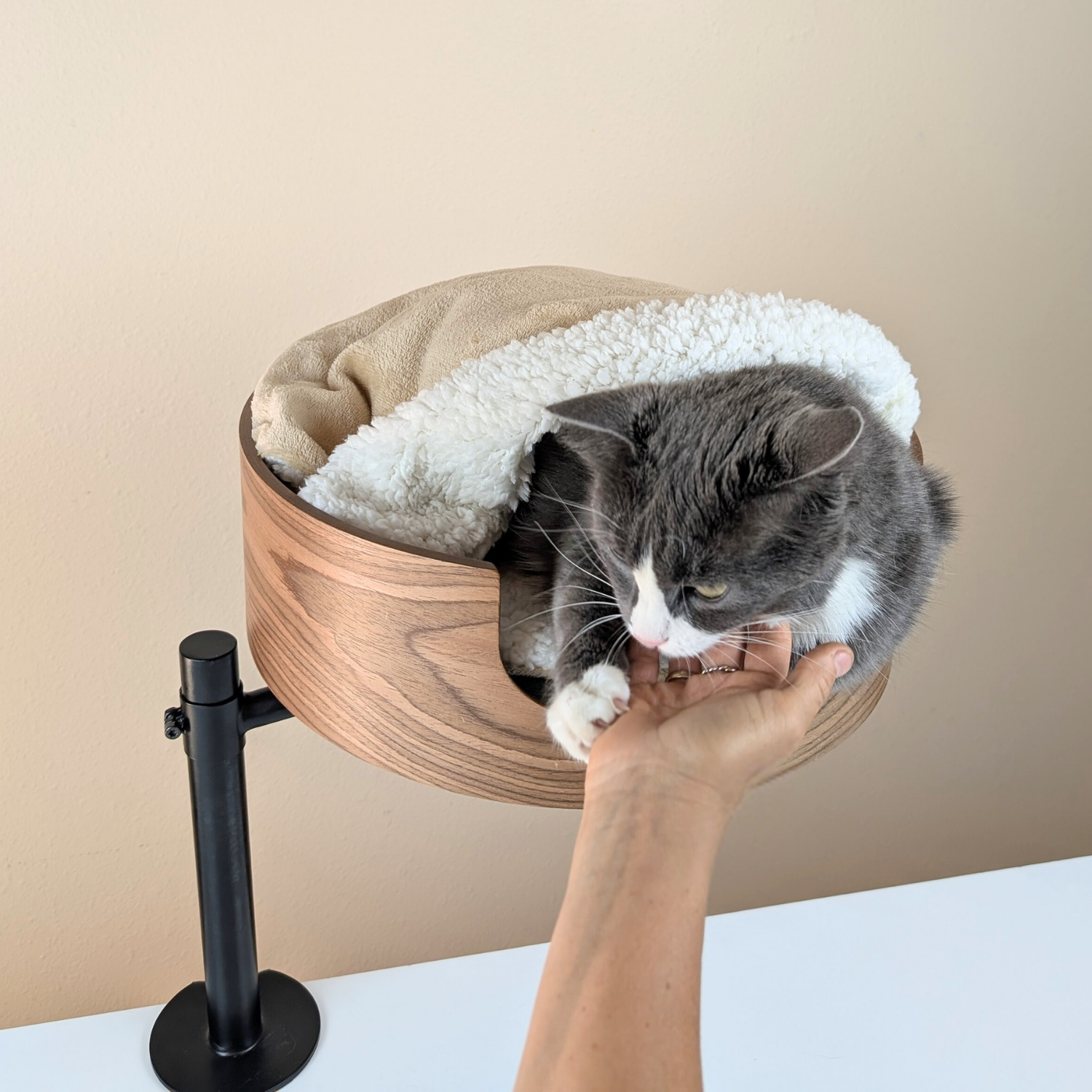 Blanket (PRE-ORDER)