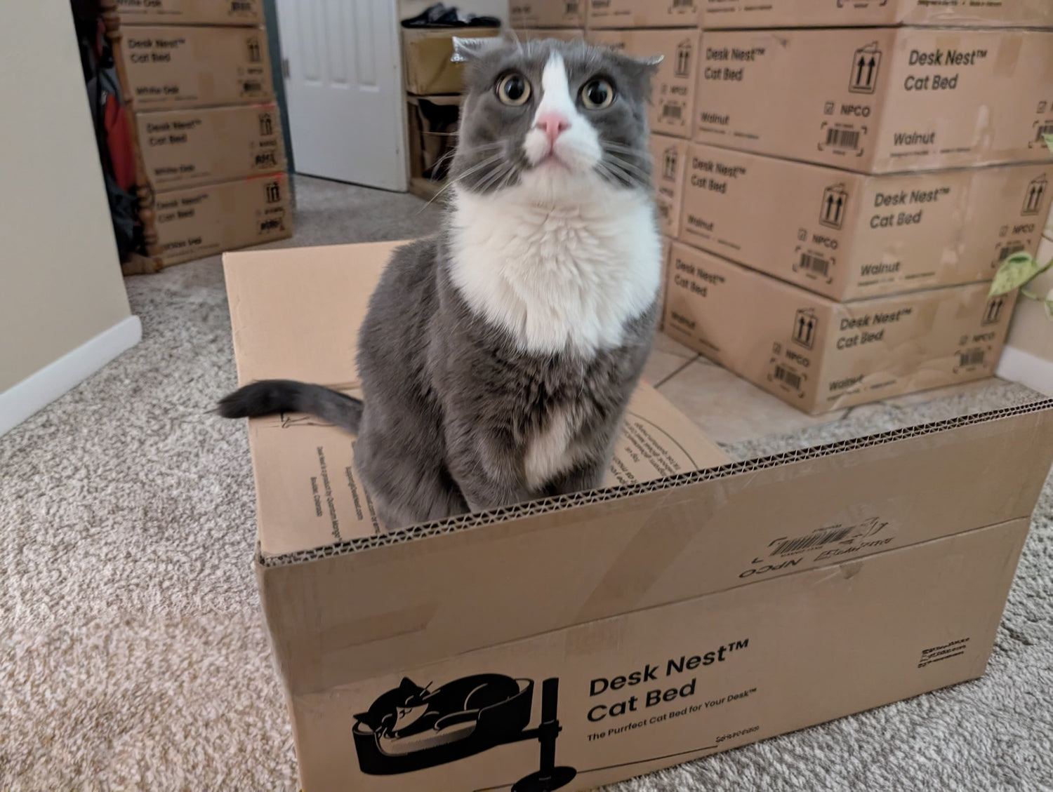 Discounted Open Box Desk Nests