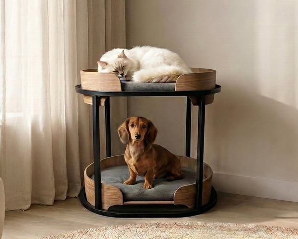 The Double-Decker Lounge