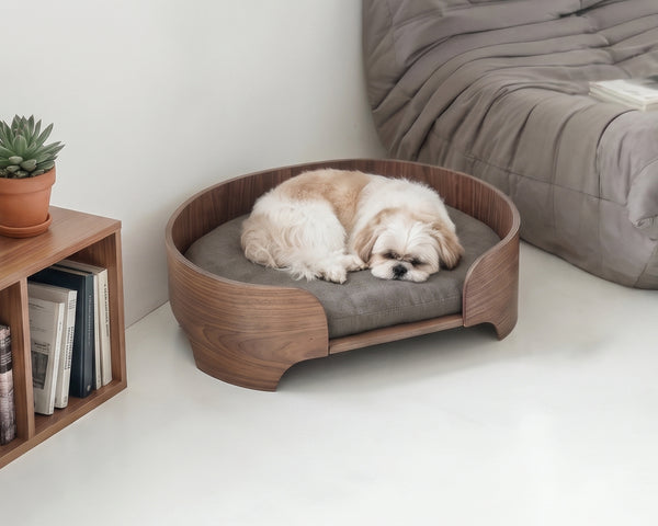 The Single Lounge Nest Bed